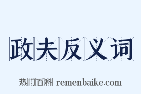 政夫反义词是什么意思的图片
